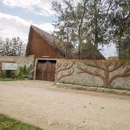 Dove Nest Lodge 奈瓦沙 外观 照片